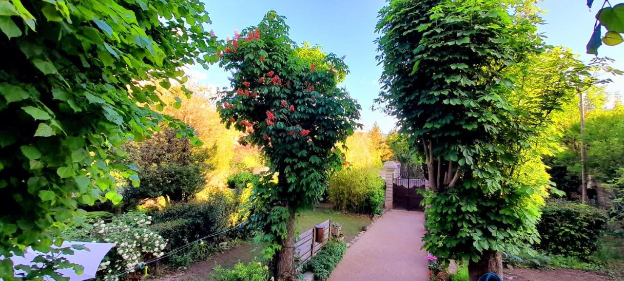 Le Gite Du Tarn Aguessac Bagian luar foto